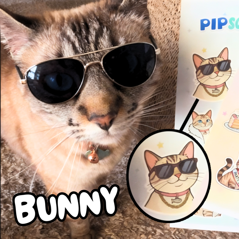 Cat in sunglasses beside its custom sticker sheet