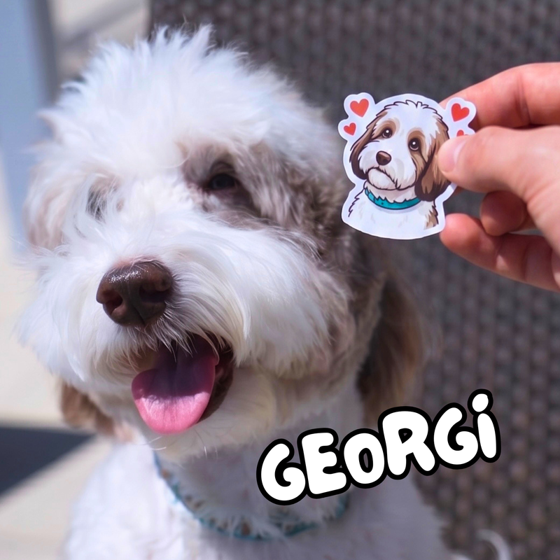 Doodle dog with its custom heart sticker