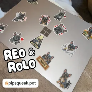 Reo and Rolo's stickers on a laptop
