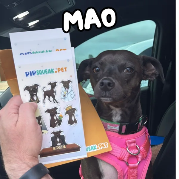 Mao next to a sticker sheet of Mao
