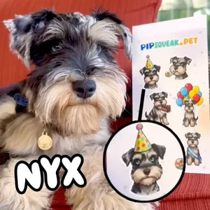Nyx next to a sticker sheet of Nyx