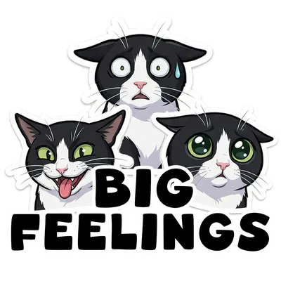 Big Feelings