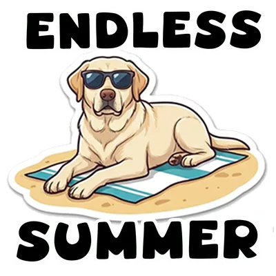 Endless Summer