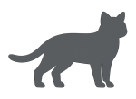 Pet standing
